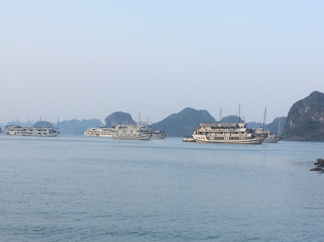 Viet Rice Fields Travel-河内必去景点