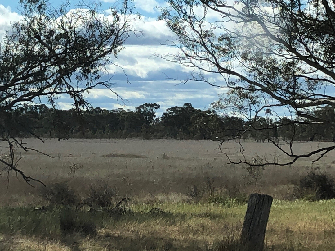 Lake Booroopki-Minimay必去景点