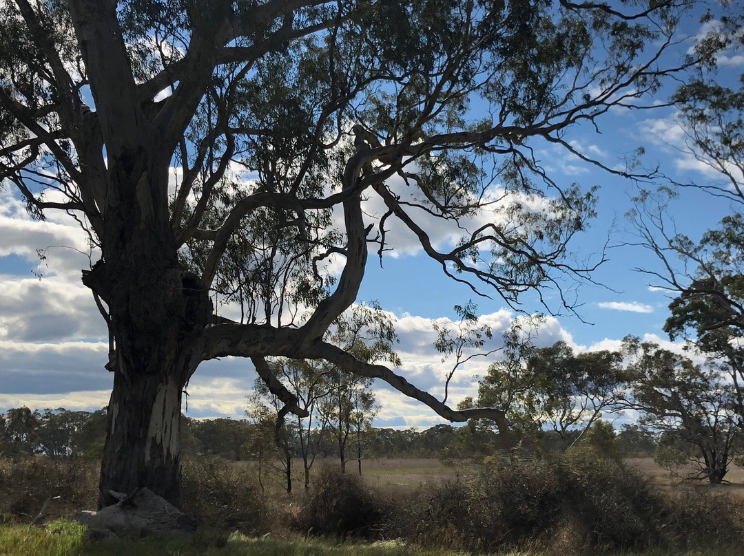 Lake Booroopki-Minimay必去景点
