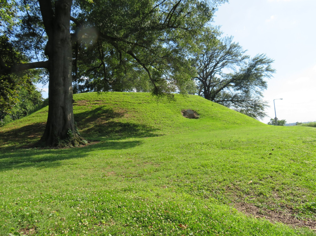 Chickasaw Heritage Park景点图片