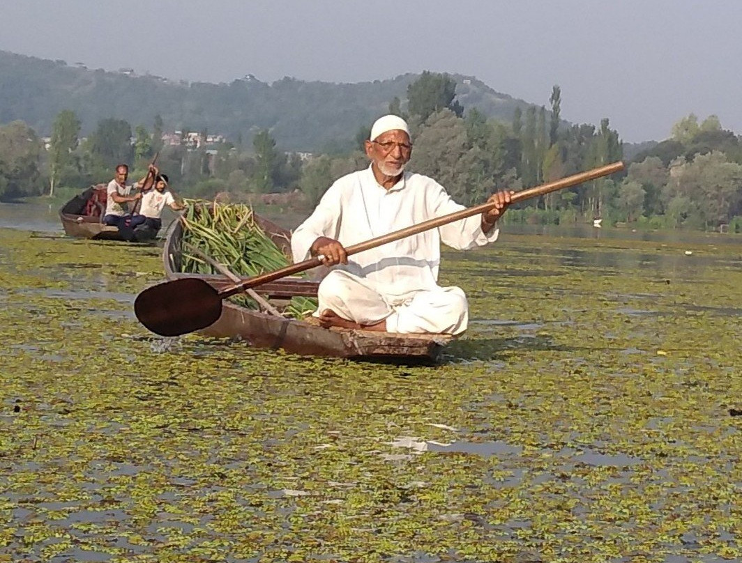 Floating Vegetable Market景点图片