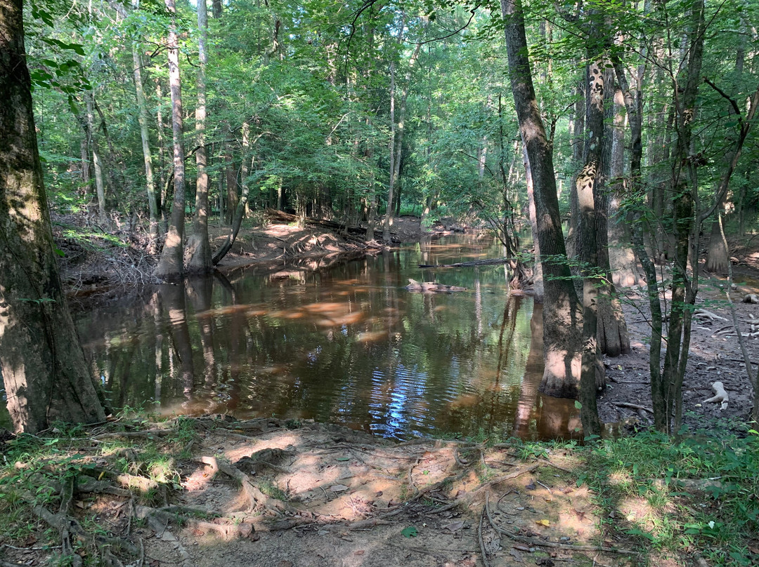 Cedar Creek景点图片