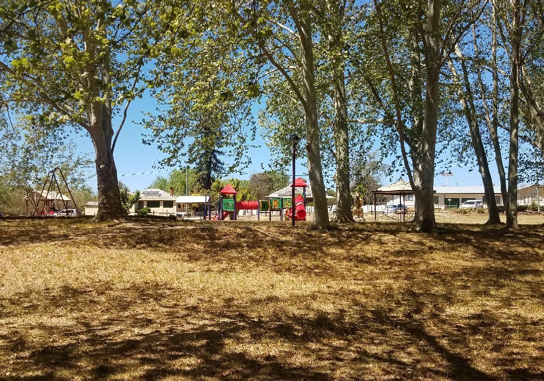 Neilson Park景点图片
