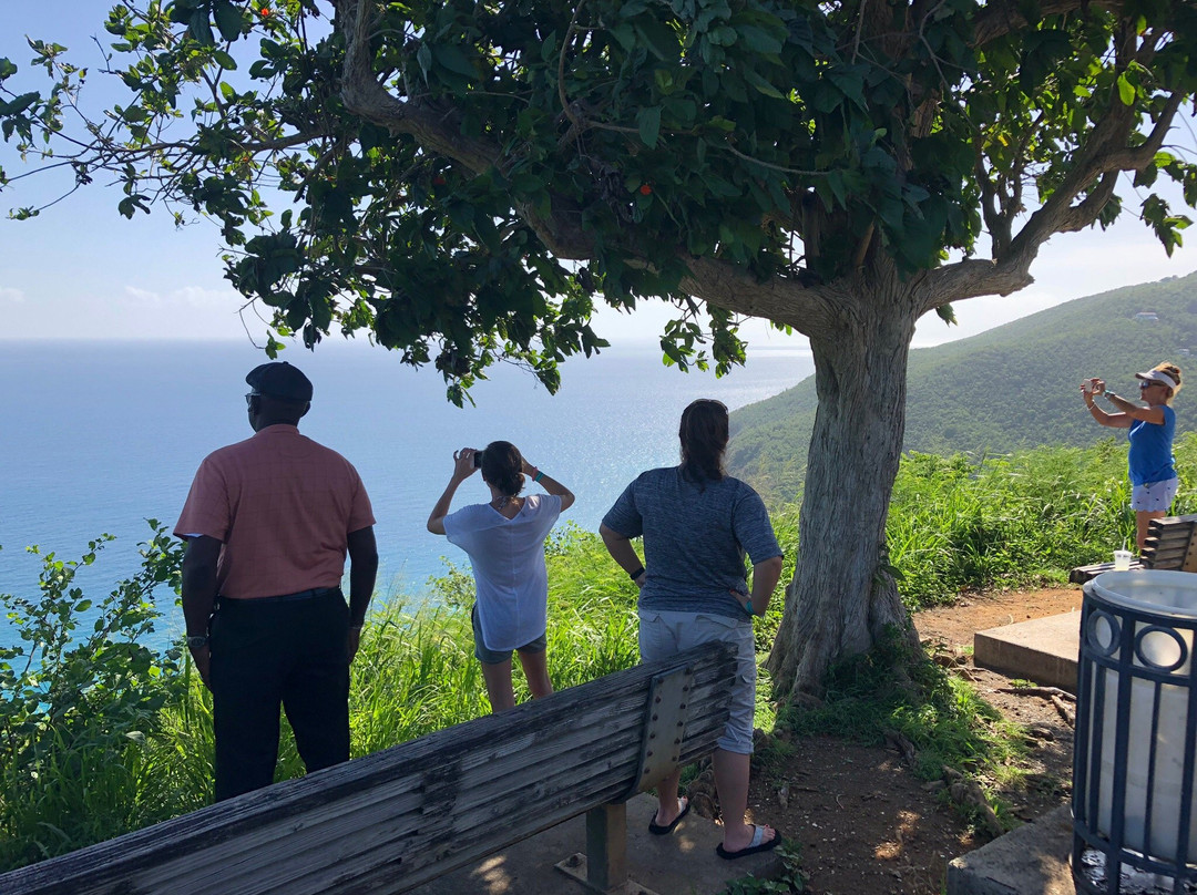 Islander Taxi Service Tours-圣 托马斯必去景点