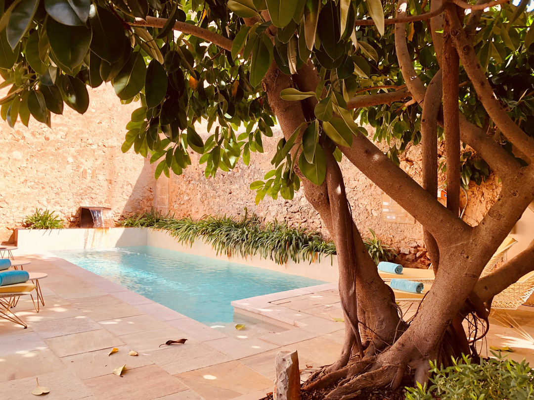 Sa Creu Nova Petit Palais Art & Spa主图