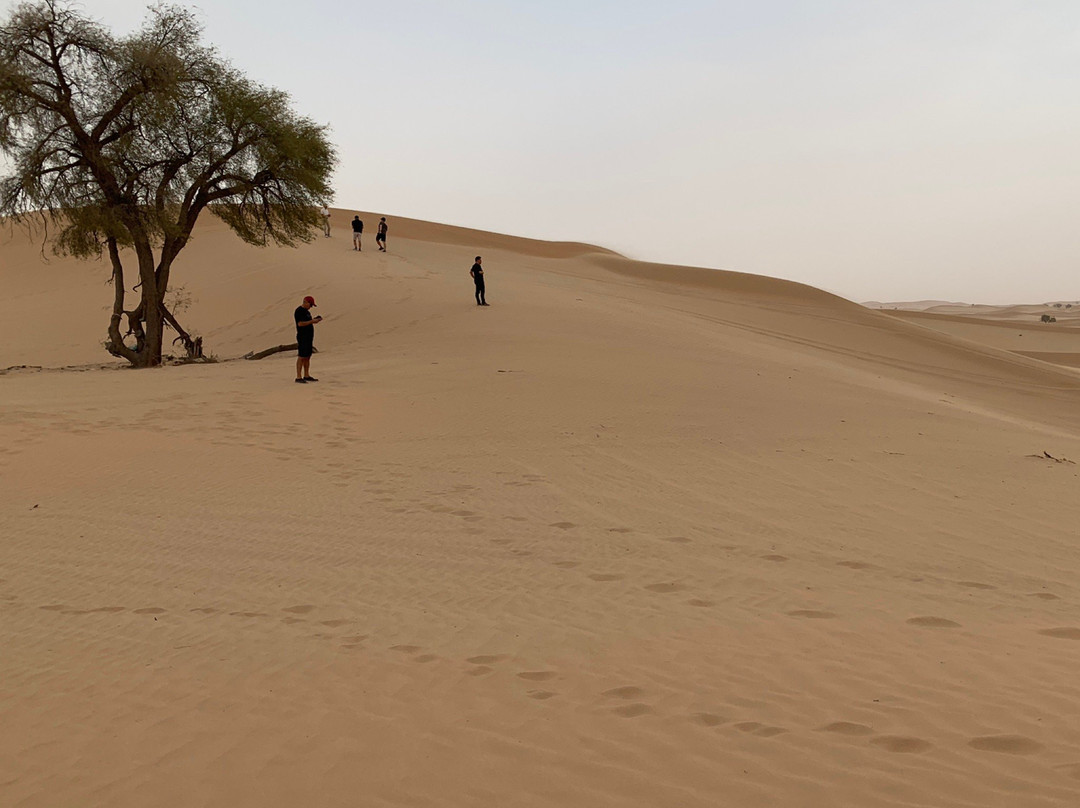 Abu Dhabi Desert Safari-阿布扎比必去景点