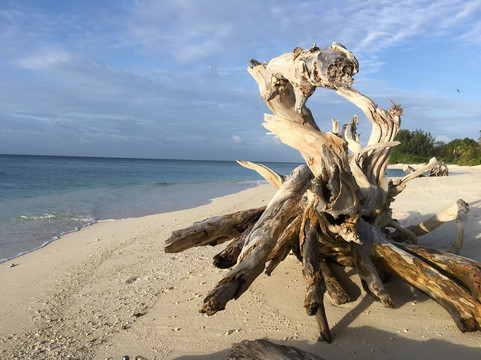 Denis Private Island主图