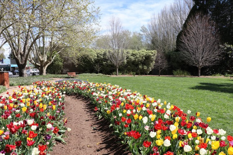 Leighton Gardens-Moss Vale必去景点
