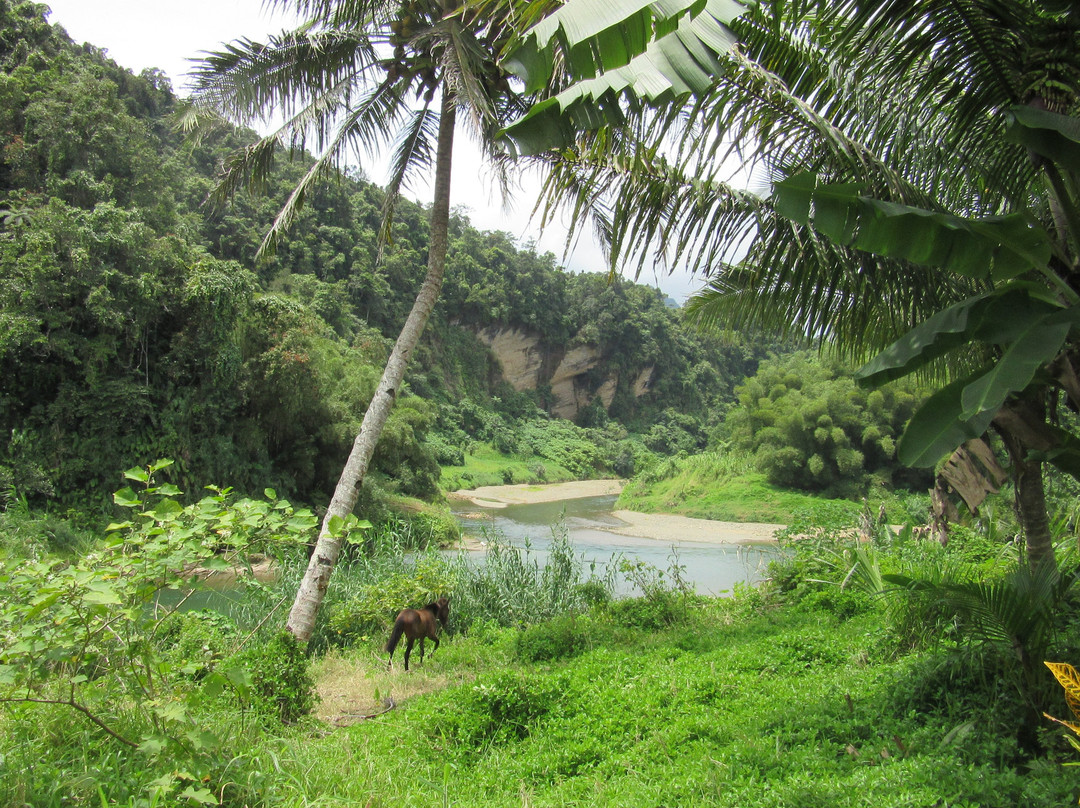River Tubing Fiji景点图片