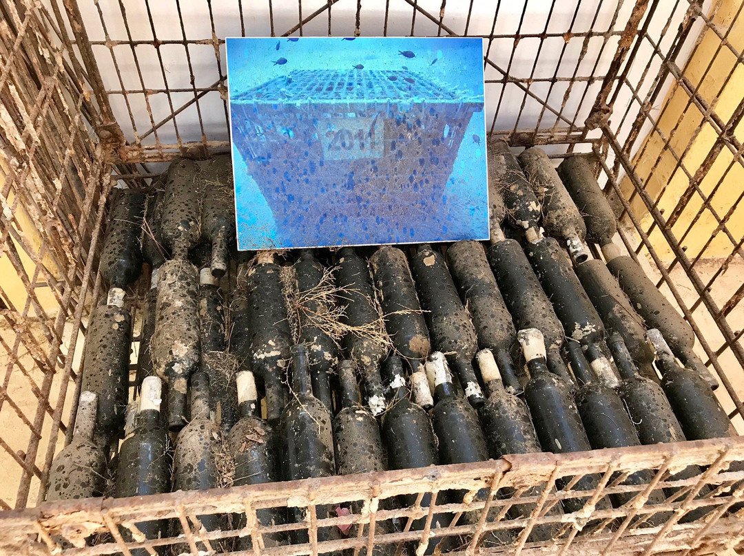 Santorini Wine Trails-费拉必去景点