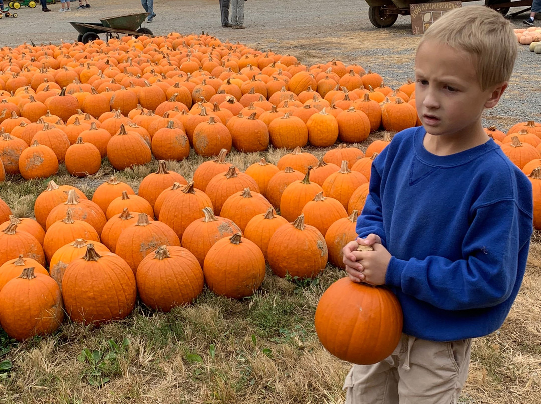 Jeter Farm-罗阿诺克必去景点