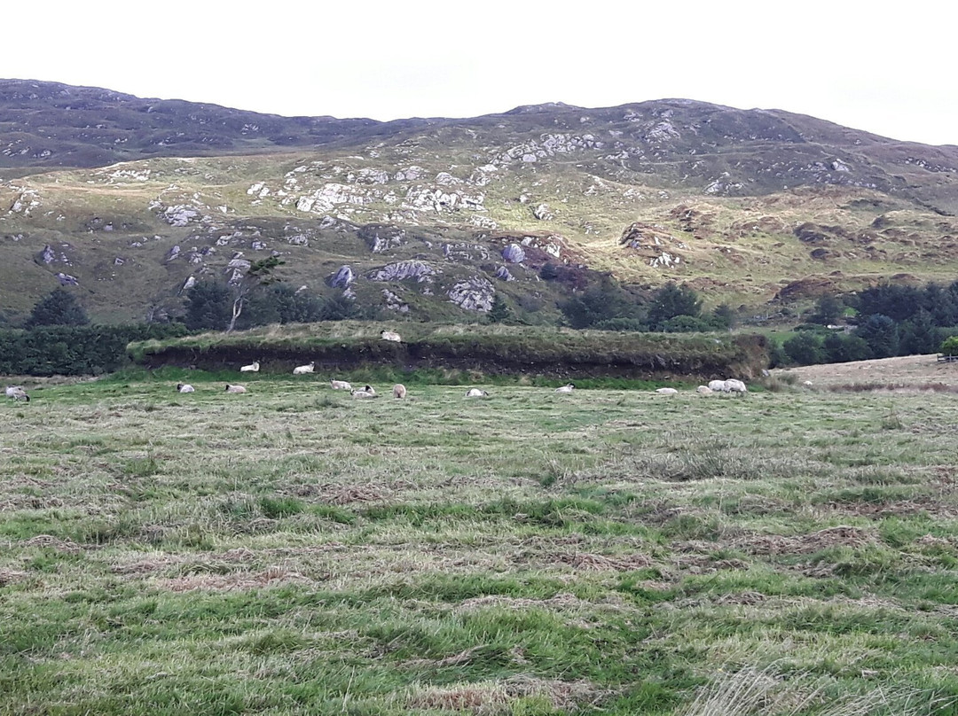 Teernahillane Ring Fort景点图片