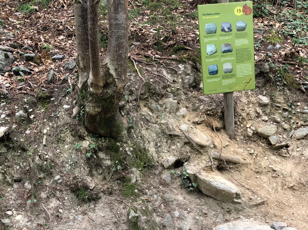 Natur- und Erlebnisweg Marling景点图片
