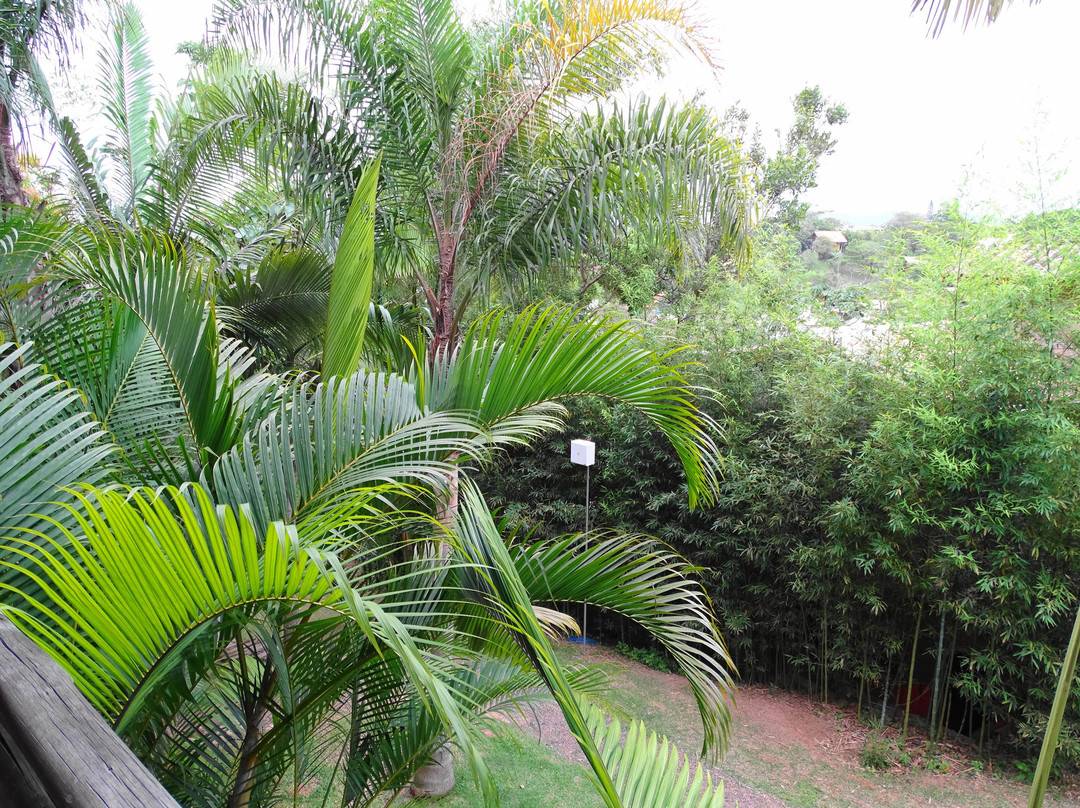 Morada da Praia do Rosa主图