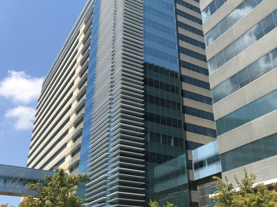 CityLine-理查森必去景点