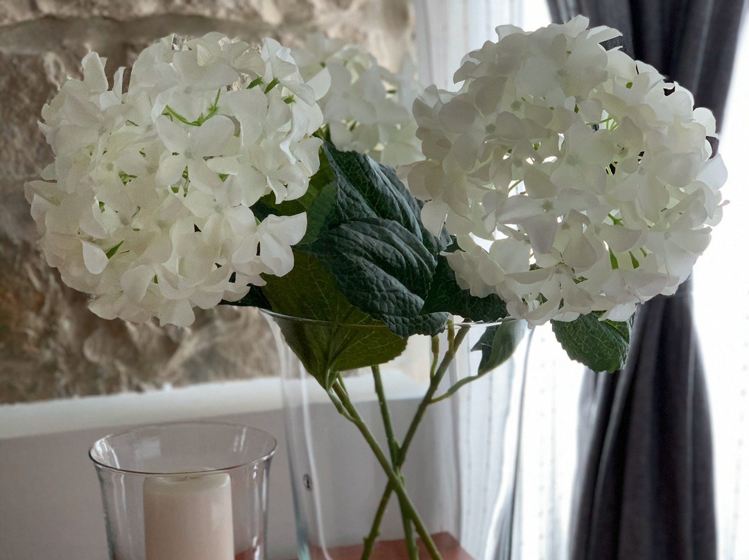 Porta d'Oro rooms主图