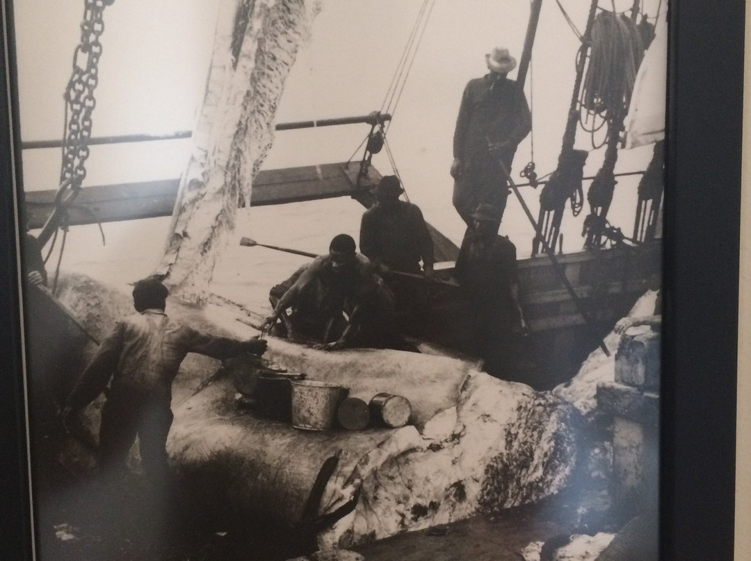 Torre de Belem-明德卢必去景点