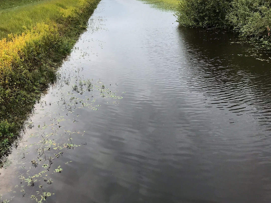 Natuurgebied Oranjezon-Vrouwenpolder必去景点