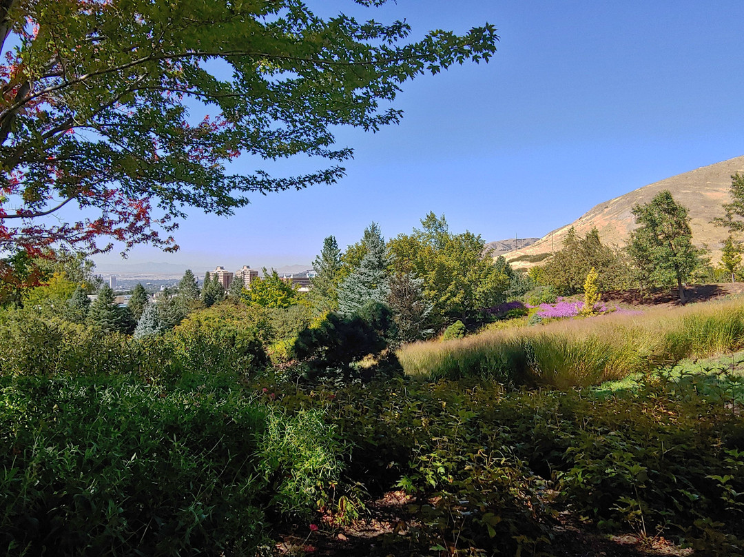 Red Butte Garden景点图片