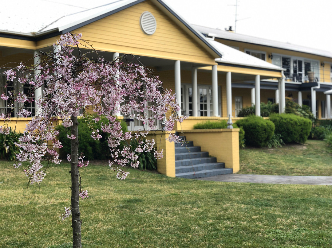 溶胶加勒比海花大酒店主图