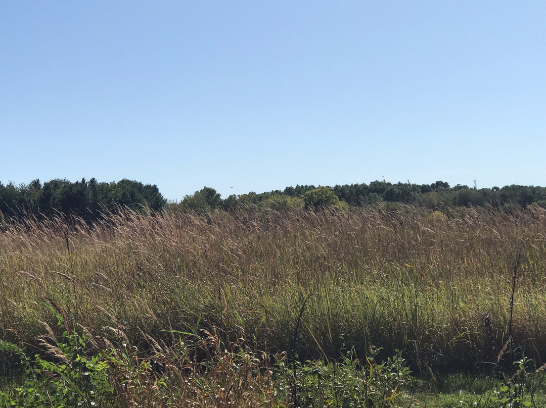 Moraine Hills State Park-McHenry必去景点