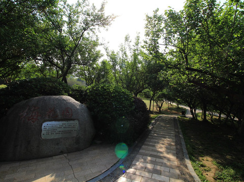 成都植物园-成都必去景点