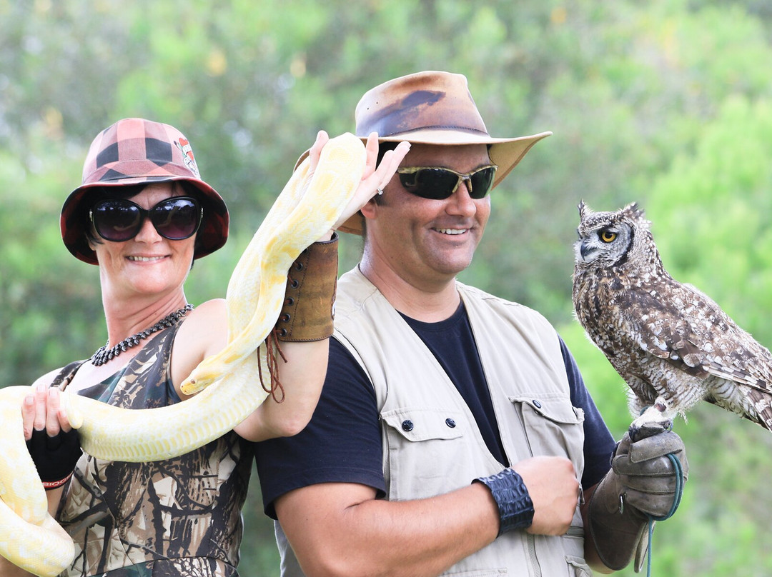Clarendon Marine旅游景点-Animals in Wonderland