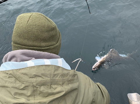 Kodiak Island Charters-Kodiak必去景点