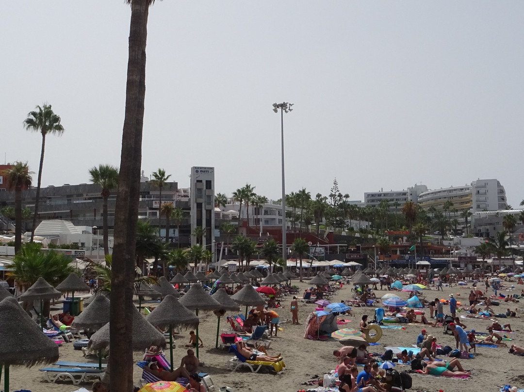 Playa De Puerto Colon-奥德杰海岸必去景点