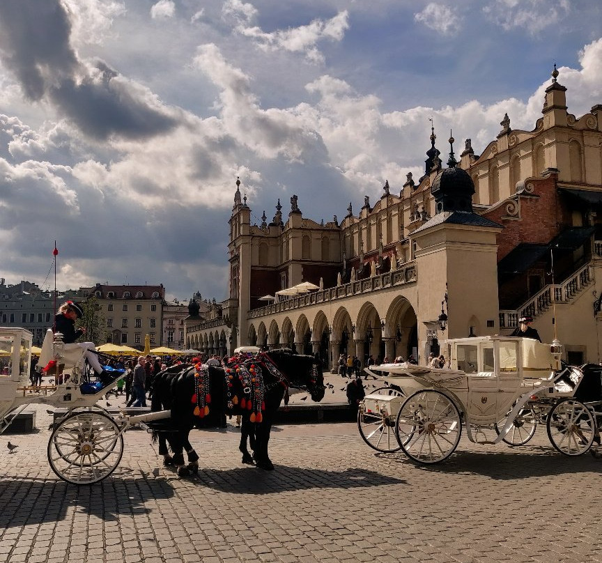 Good Cracow Tours景点图片