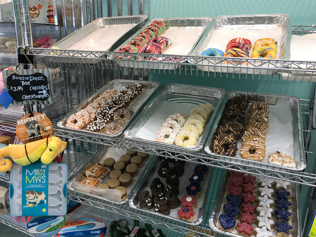 Salty Paws-里霍博斯比奇必去景点