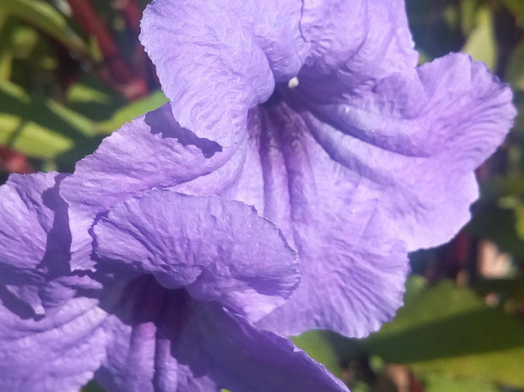 Studios Filippos主图