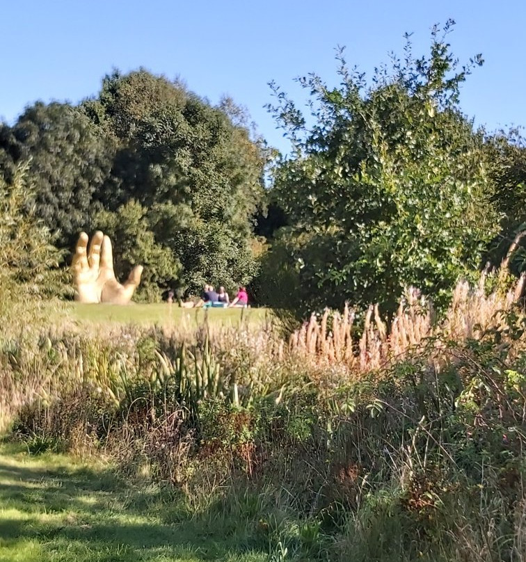 Vicar Water Country Park景点图片