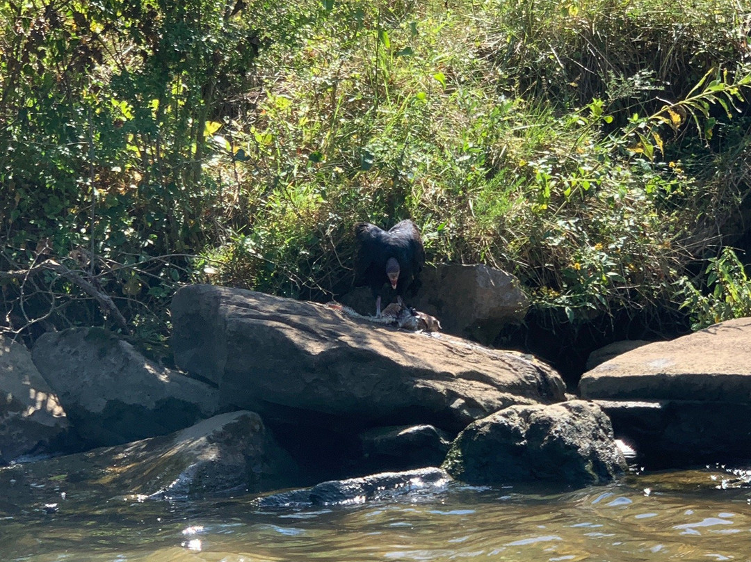 Canoe Kayak Chattanooga-Whitwell必去景点