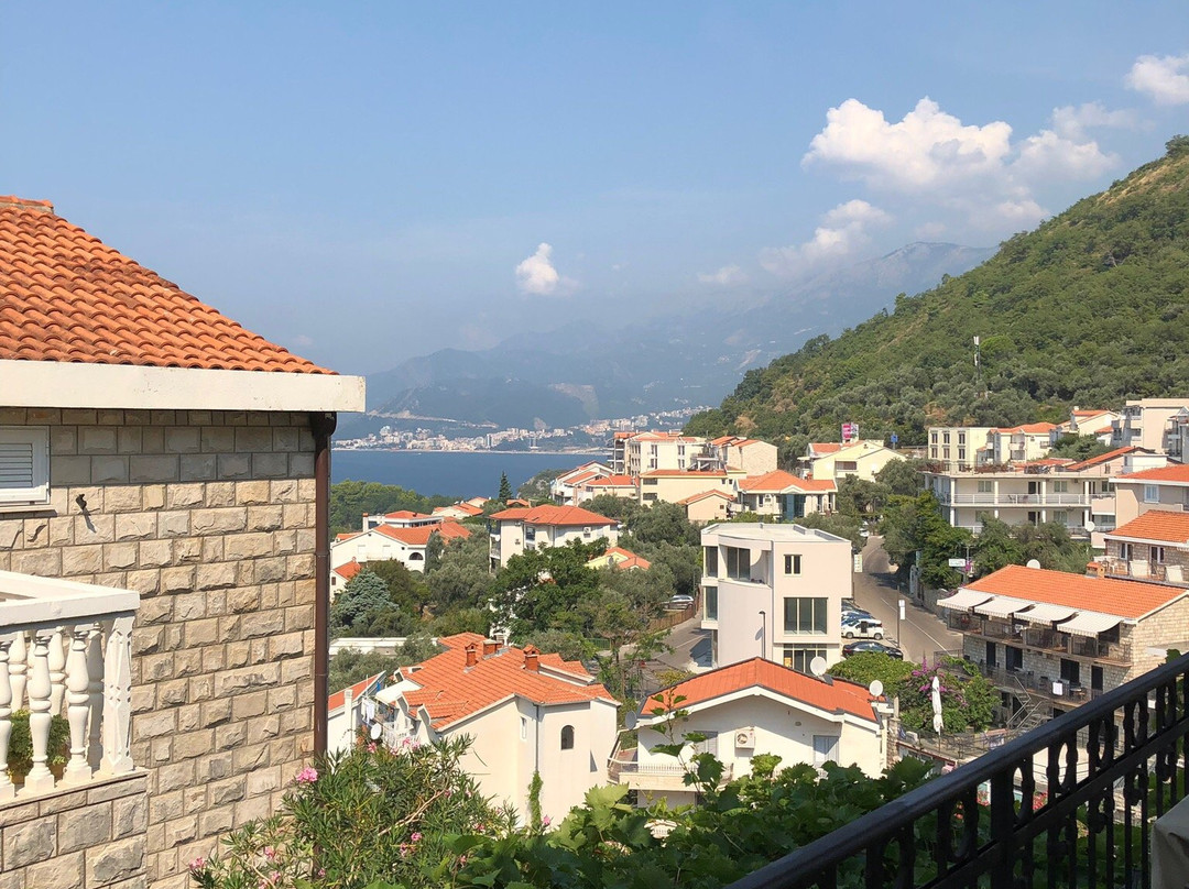 Apartments Muhar主图