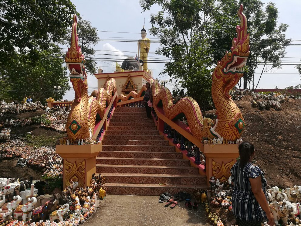 Wat Pa Kham Hua Chang Temple景点图片