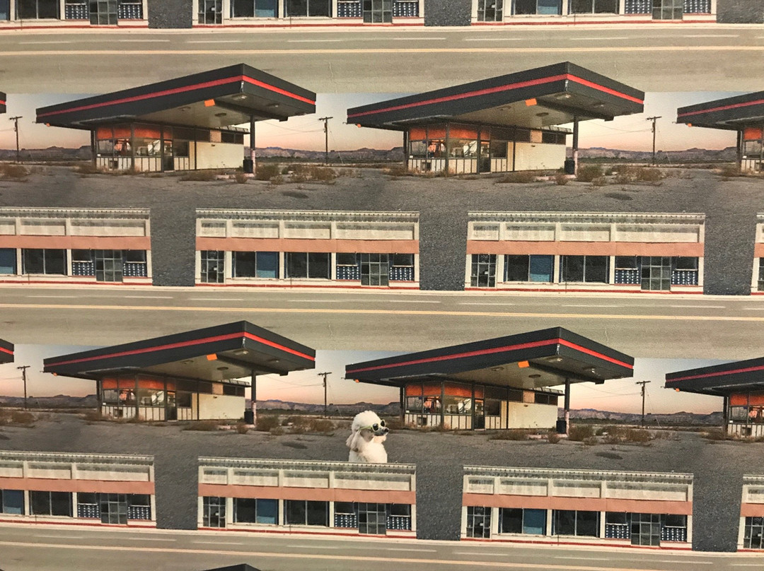 Aloft Leawood-Overland Park主图