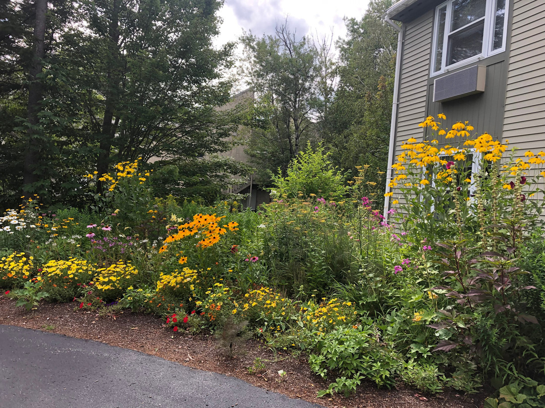 Silver Fox Inn主图