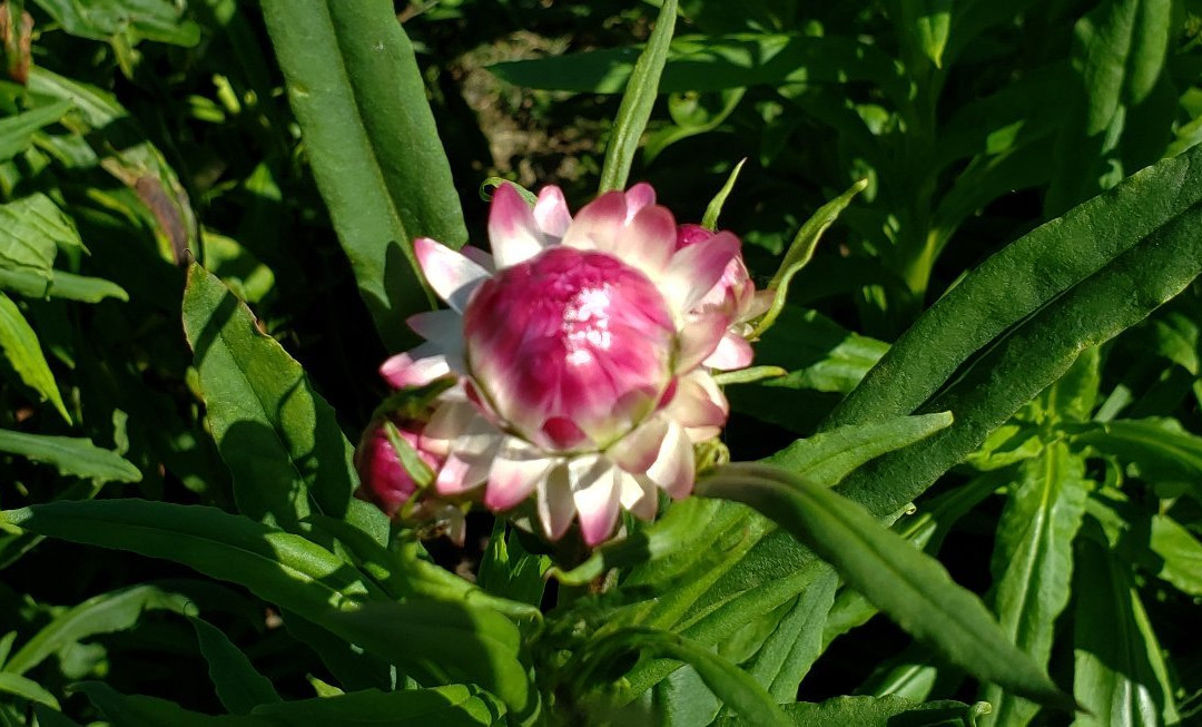 Riverview Farm-Plainfield必去景点