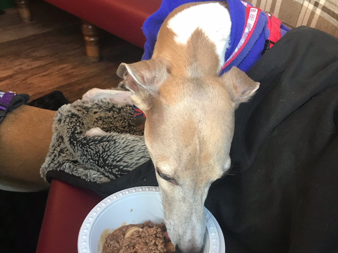 The Benton Ale House-纽卡斯尔必去景点