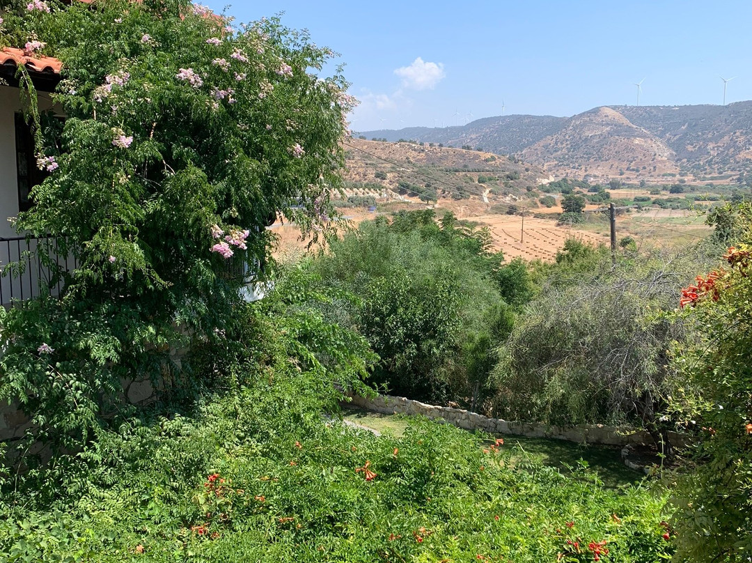 Vasilias Nikoklis Inn主图