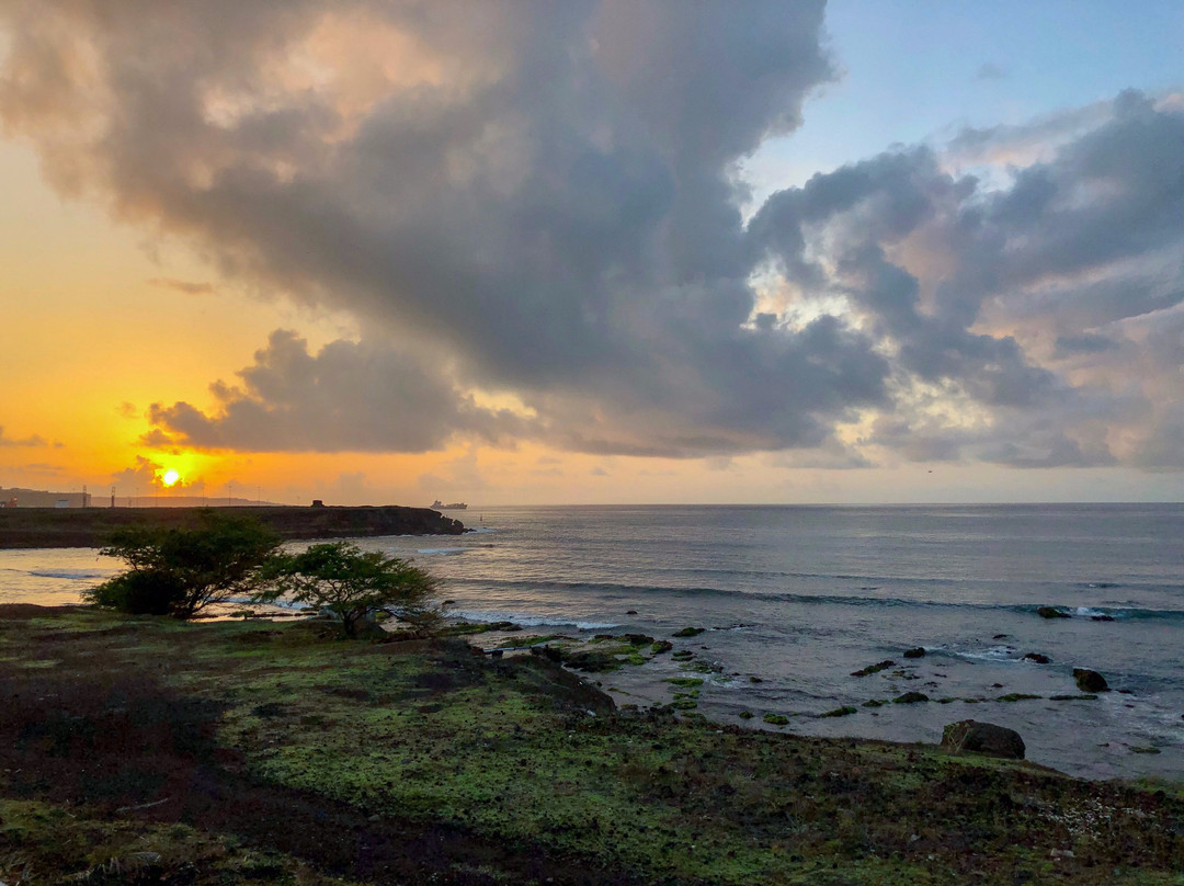 Pestana Tropico主图