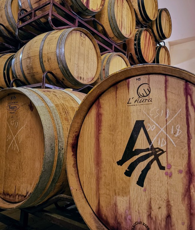 Tannin Trail-马贝拉必去景点