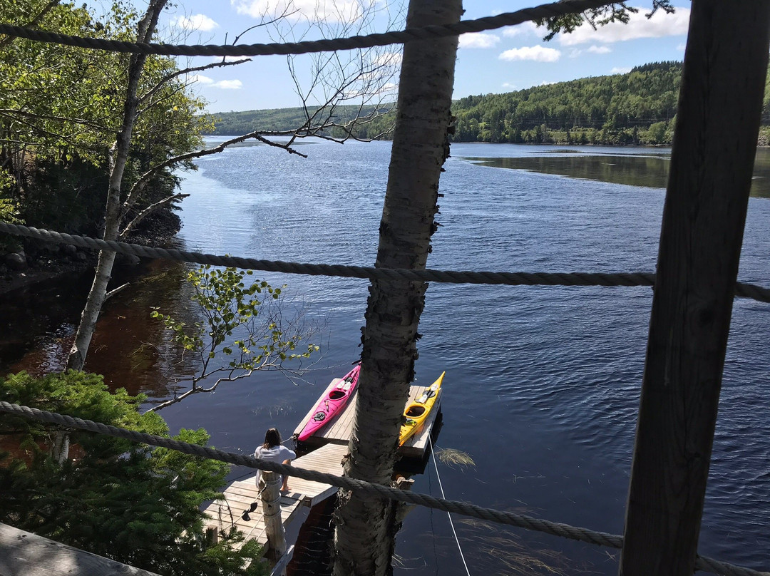 North River Kayak景点图片