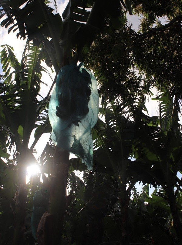 Saut d'Eau du Matouba-Saint-Claude必去景点