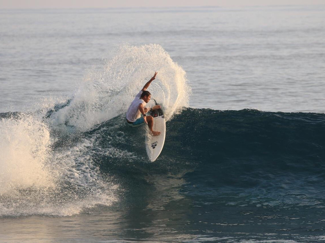 El Gato Rojas Surf School景点图片