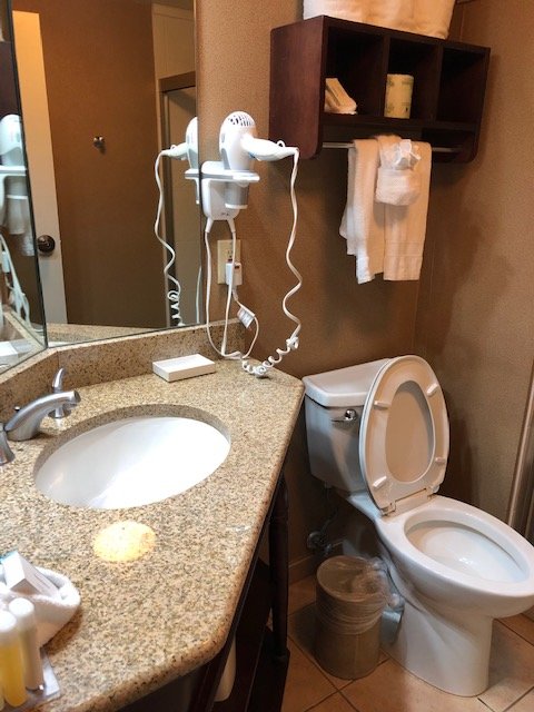 Hampton Inn Tuscaloosa-University-浴室