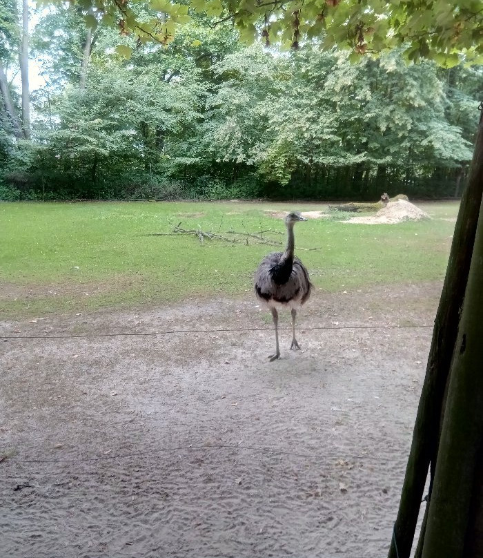 Tierpark Zittau-Zittau必去景点