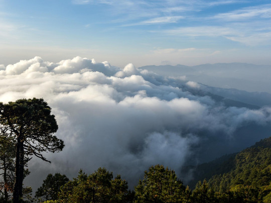 Lescas Co Tours-瓦哈卡必去景点
