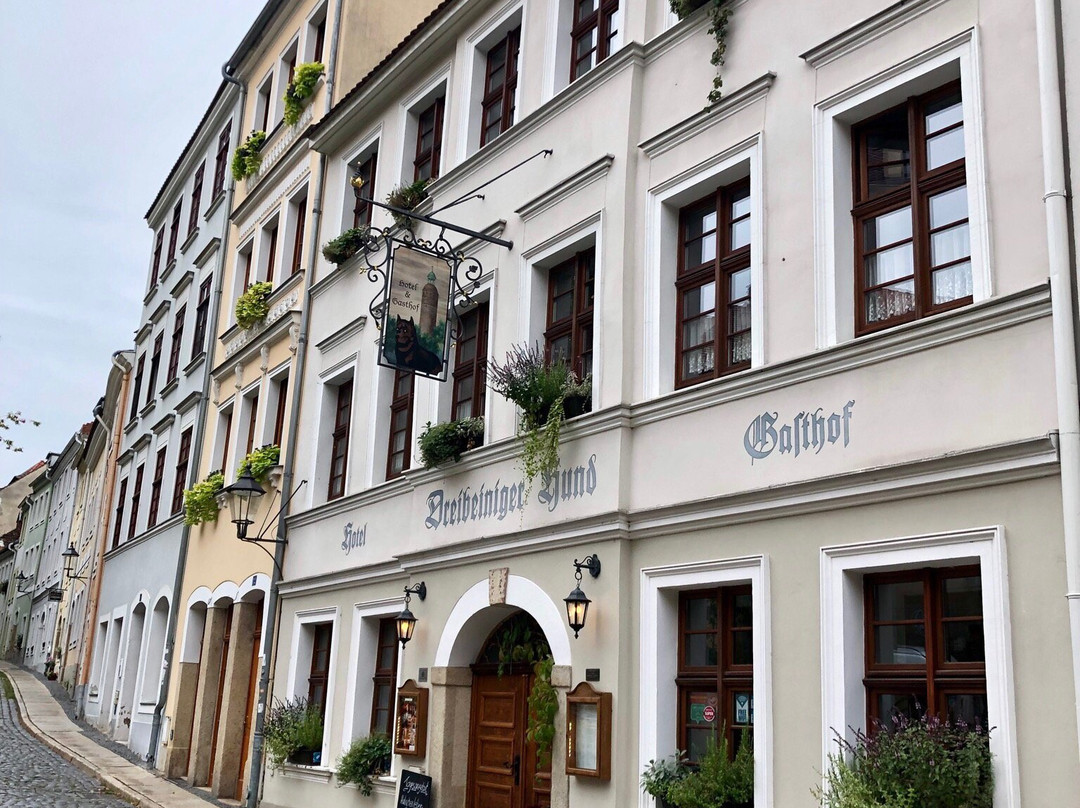 Dreibeiniger Hund主图